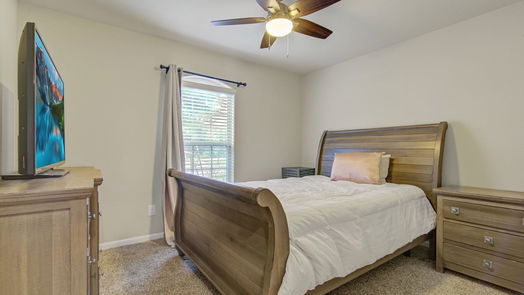 Rosharon 1-story, 4-bed 1807 Luminous Water Lane-idx