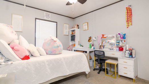 Rosharon 1-story, 5-bed 818 N Paloma Drive-idx