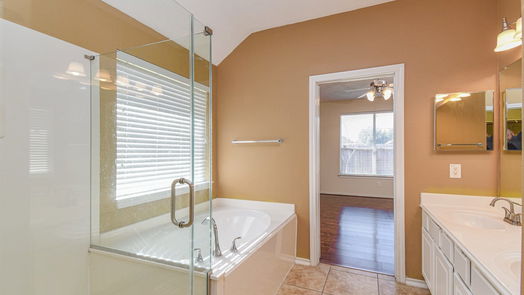 Rosharon 1-story, 3-bed 13214 Baron Hill Lane-idx