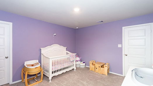 Rosharon 2-story, 4-bed 4819 Timber Gate Court-idx