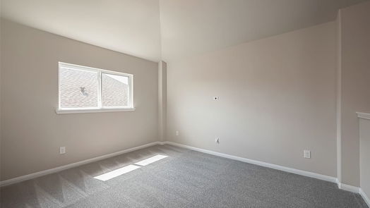 Rosharon 2-story, 4-bed 2417 Temple Crag Drive-idx