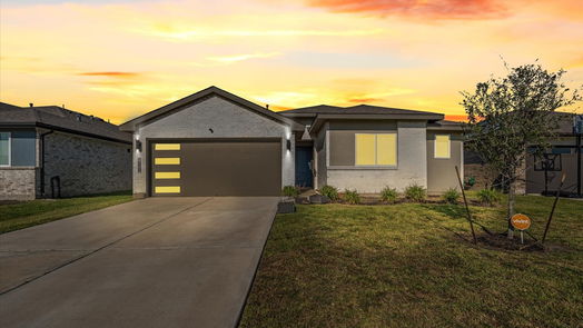 Rosharon null-story, 3-bed 8102 Buck Lane-idx