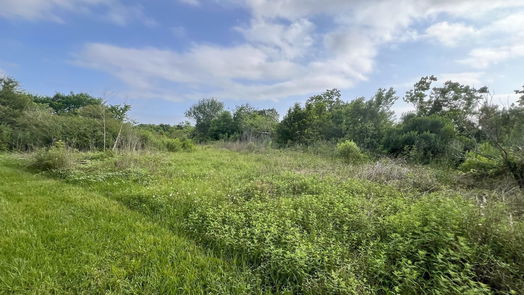 Rosharon 1-story, 5-bed 4710 County Road 418-idx