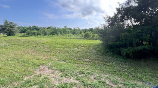 Rosharon 1-story, 5-bed 4710 County Road 418-idx