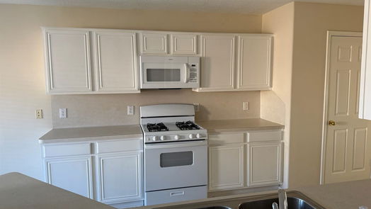 Rosharon 2-story, 4-bed 13601 Trail Meadows Lane-idx