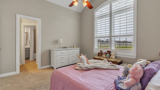 Pearland 1-story, 4-bed 4041 Ravencrest Court-idx