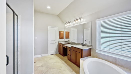 Pearland 1-story, 4-bed 1825 Emerald Trace Lane-idx