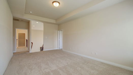 Pearland 2-story, 5-bed 13614 Mystic Park Court-idx