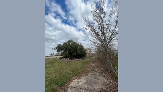 Pearland null-story, null-bed COUNTRY RD 143 N County Road 112-idx