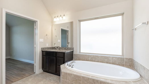 Pearland 1-story, 4-bed 13603 Canyon Gale Lane-idx