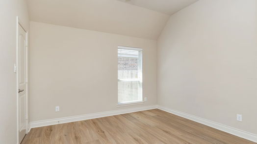 Pearland 1-story, 4-bed 13603 Canyon Gale Lane-idx