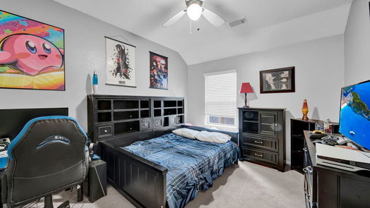 Pearland 1-story, 3-bed 2501 Sunlight Lane-idx