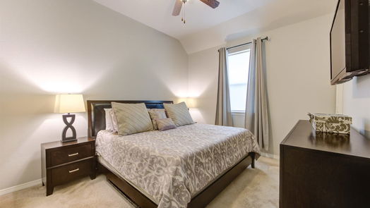 Pearland 1-story, 4-bed 13406 Ravens Park Lane-idx