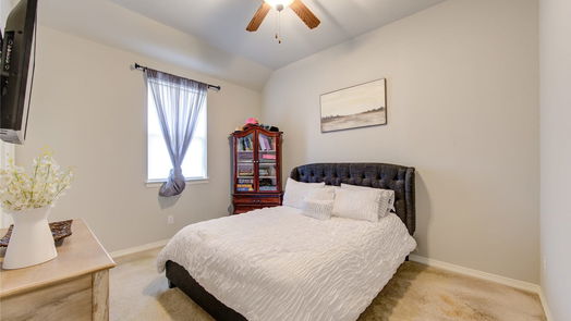 Pearland 1-story, 4-bed 13406 Ravens Park Lane-idx