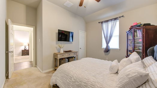 Pearland 1-story, 4-bed 13406 Ravens Park Lane-idx