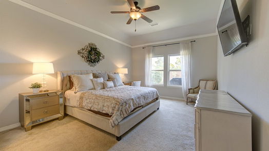 Pearland 1-story, 4-bed 13406 Ravens Park Lane-idx