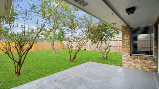 Pearland 1-story, 3-bed 2914 S Peach Hollow Circle-idx