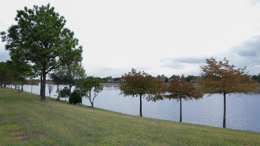 Pearland 2-story, 5-bed 2425 Harbor Chase Drive-idx