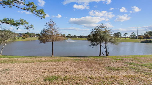 Pearland 2-story, 4-bed 2107 Pearl Bay Court-idx