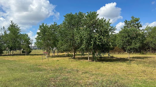 Texas City null-story, null-bed Lots 14 and 15 31st St N-idx