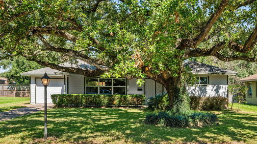 Texas City 1-story, 3-bed 5006 Live Oak Drive-idx