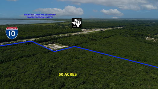 Wallisville null-story, null-bed Wallisville 50 Acres I-10-idx