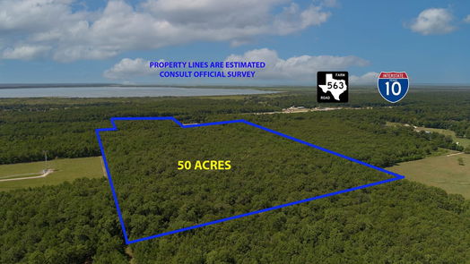 Wallisville null-story, null-bed Wallisville 50 Acres I-10-idx