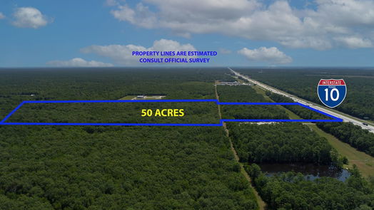 Wallisville null-story, null-bed Wallisville 50 Acres I-10-idx