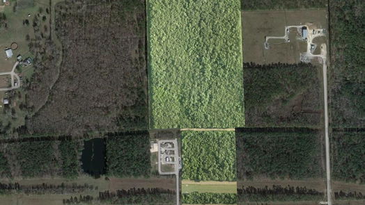 Wallisville null-story, null-bed Wallisville 50 Acres I-10-idx