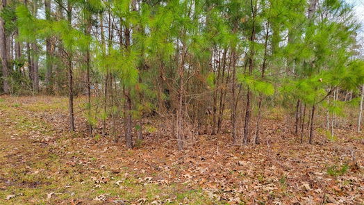 Wallisville null-story, null-bed 607 Wallisville Liberty Road-idx