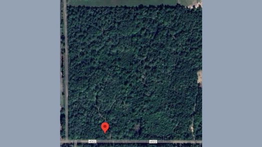 Hillister null-story, null-bed 560 County Road 4502-idx