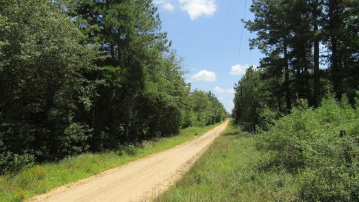 Hillister null-story, null-bed 560 County Road 4502-idx