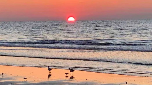 Crystal Beach null-story, 4-bed 876 SURFVIEW-idx