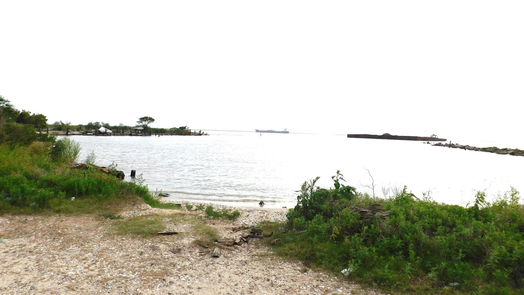 Crystal Beach null-story, null-bed 1308 Quarles Avenue-idx
