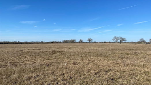 Bedias null-story, null-bed 15 Acres Lot 14, Hwy 30-idx