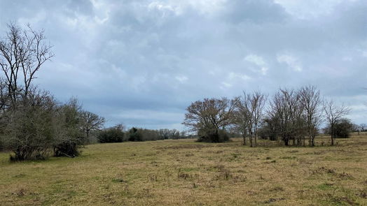 Bedias null-story, null-bed 15 Acres Lot 7, Hwy 30-idx