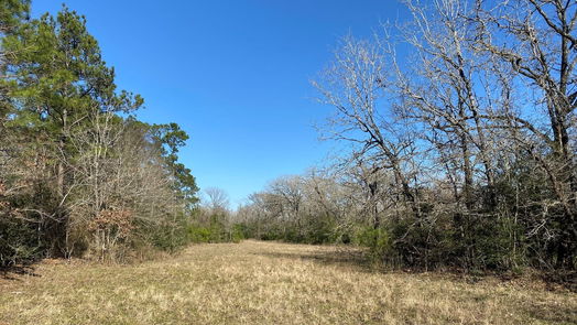 Bedias null-story, null-bed 15 Acres Lot 9, Hwy 30-idx