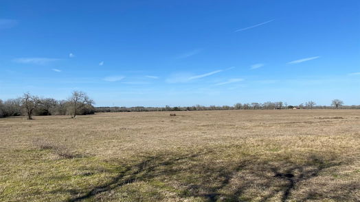 Bedias null-story, null-bed 15 Acres Lot 7, Hwy 30-idx