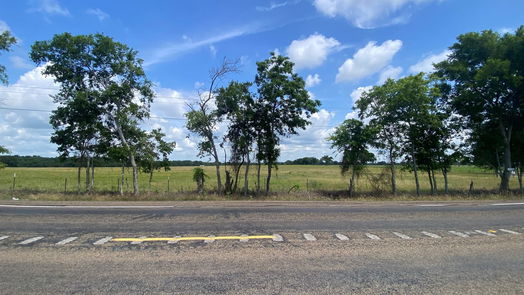 Bedias null-story, null-bed 12.35 Acres Lot 13, Hwy 30-idx