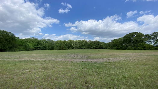 Bedias null-story, null-bed 15 Acres Lot 9, Hwy 30-idx