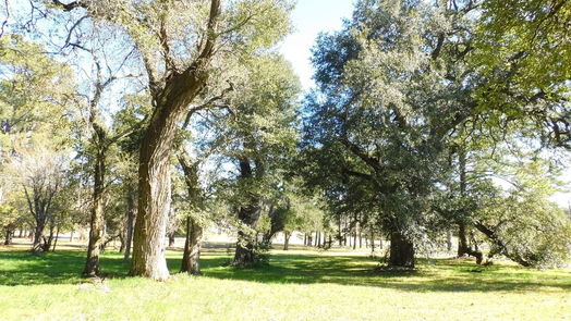Brenham null-story, 3-bed 2408 Gun And Rod Road-idx