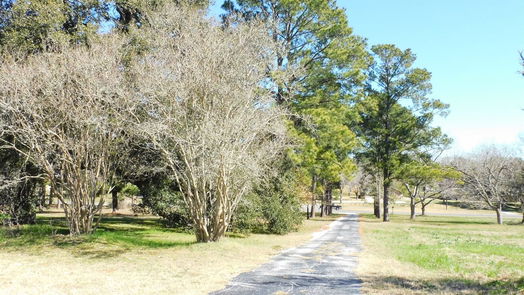 Brenham null-story, 3-bed 2408 Gun And Rod Road-idx