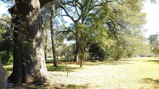 Brenham null-story, 3-bed 2408 Gun And Rod Road-idx