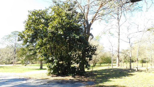 Brenham null-story, 3-bed 2408 Gun And Rod Road-idx