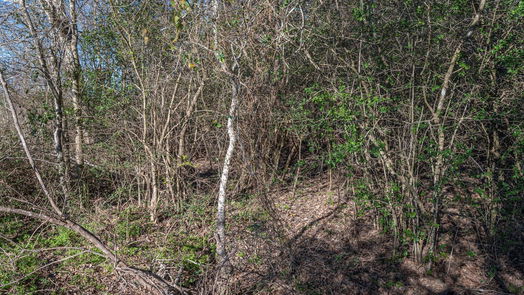Brenham null-story, null-bed 0 Old Masonic Road, Lot 1-idx