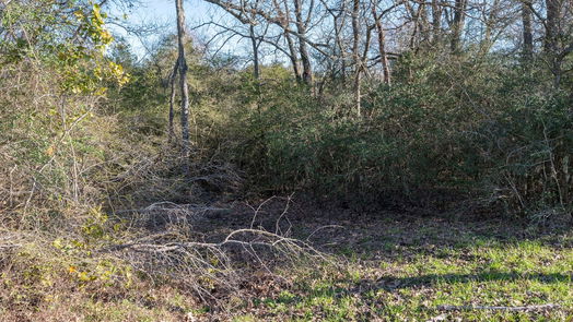 Brenham null-story, null-bed 0 Old Masonic Road, Lot 1-idx