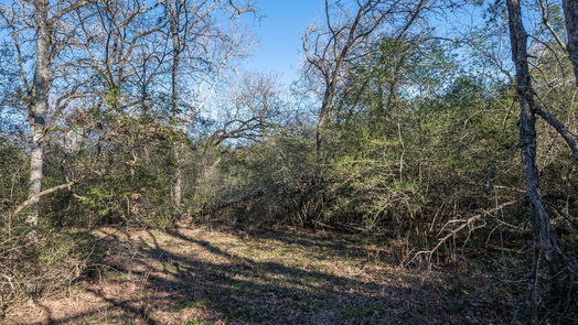 Brenham null-story, null-bed 0 Old Masonic Road, Lot 1-idx