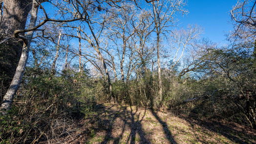 Brenham null-story, null-bed 0 Old Masonic Road, Lot 1-idx