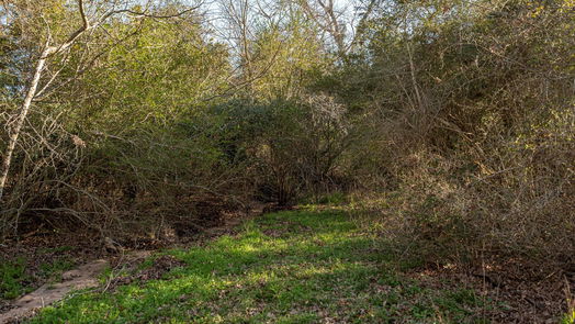 Brenham null-story, null-bed 0 Old Masonic Road, Lot 1-idx