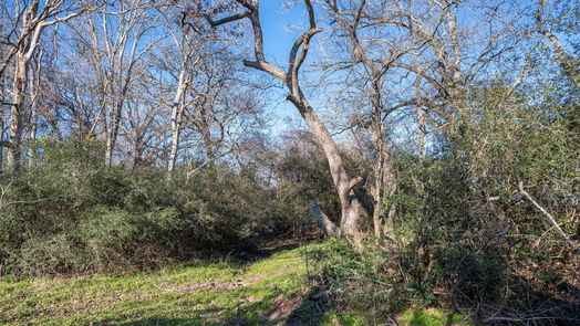 Brenham null-story, null-bed 0 Old Masonic Road, Lot 1-idx